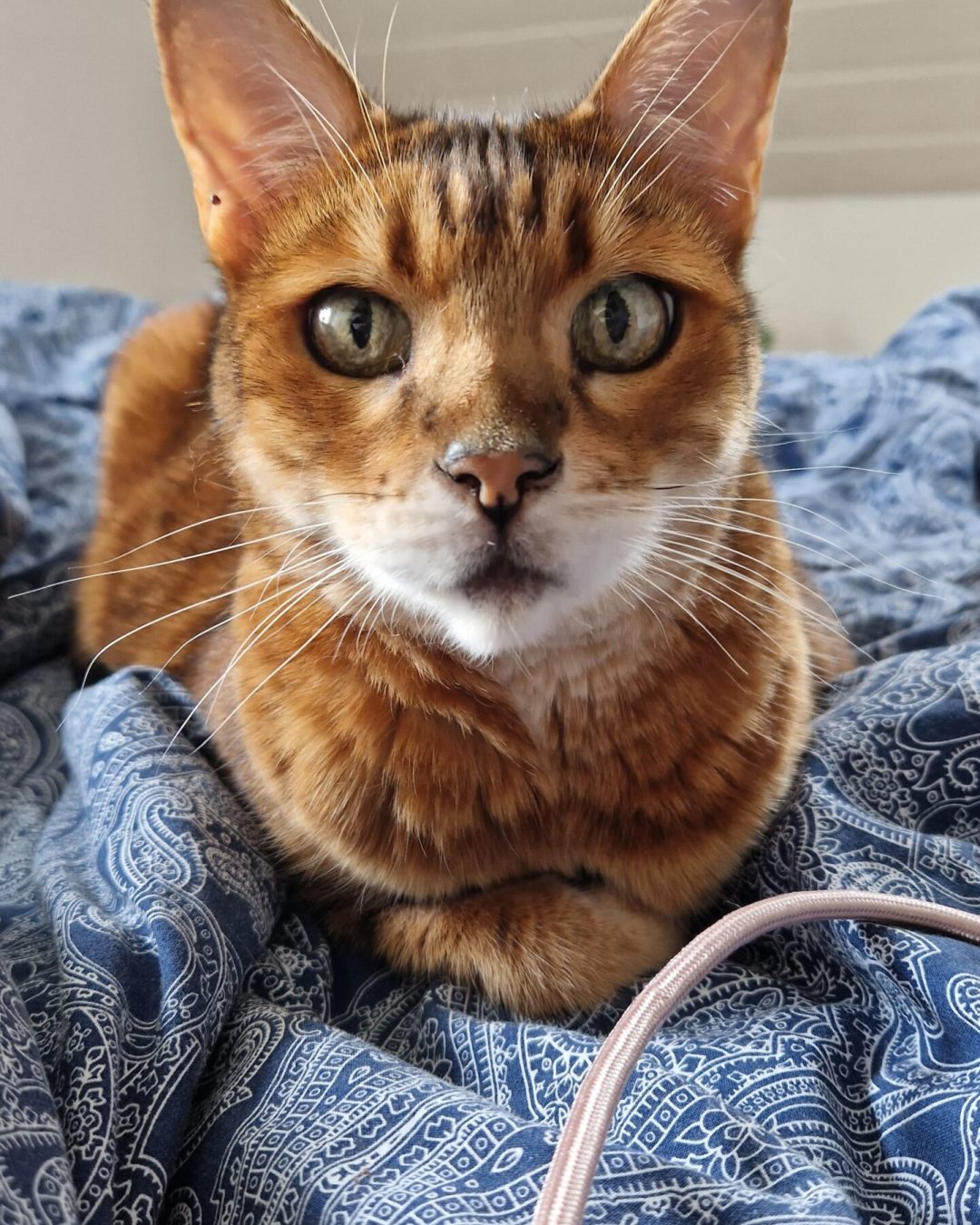 WhatsApp Image 2024-03-07 at 12.54.20